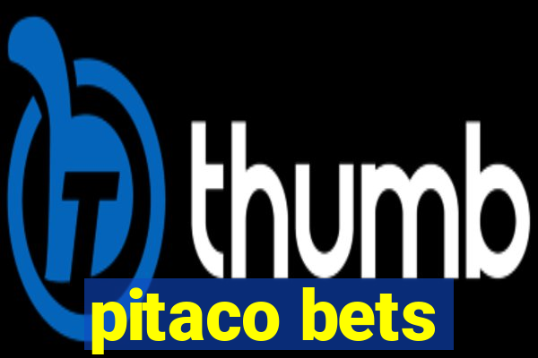 pitaco bets